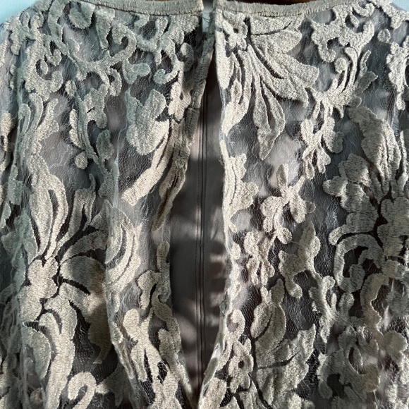Tadashi Shoji Lace Overlay Dress in Sand, 14 - Picture 10 of 11